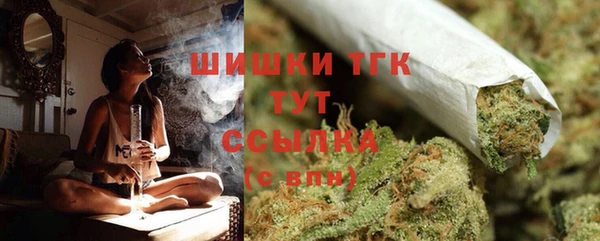 гашик Беломорск