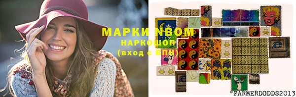 гашик Беломорск