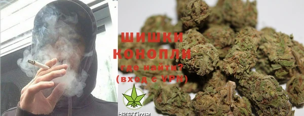 амф Богородицк