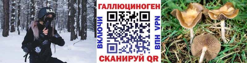 Псилоцибиновые грибы мухоморы  Нарьян-Мар 