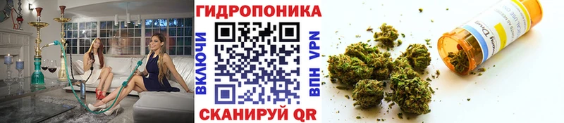 Каннабис LSD WEED  ссылка на мегу сайт  Нарьян-Мар 